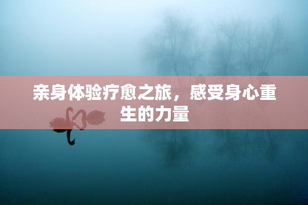亲身体验疗愈之旅，感受身心重生的力量
