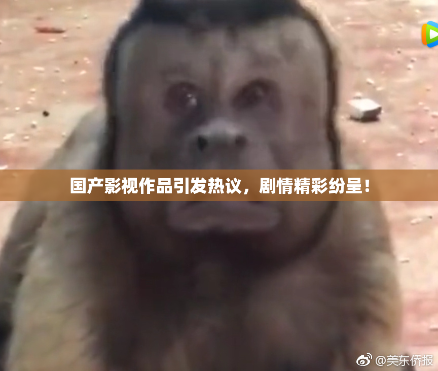 国产影视作品引发热议，剧情精彩纷呈！