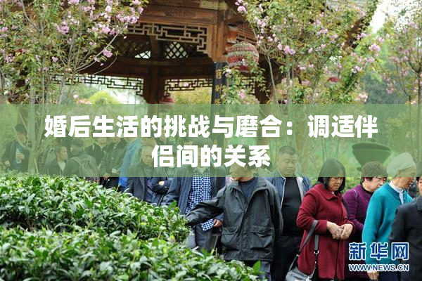 婚后生活的挑战与磨合：调适伴侣间的关系