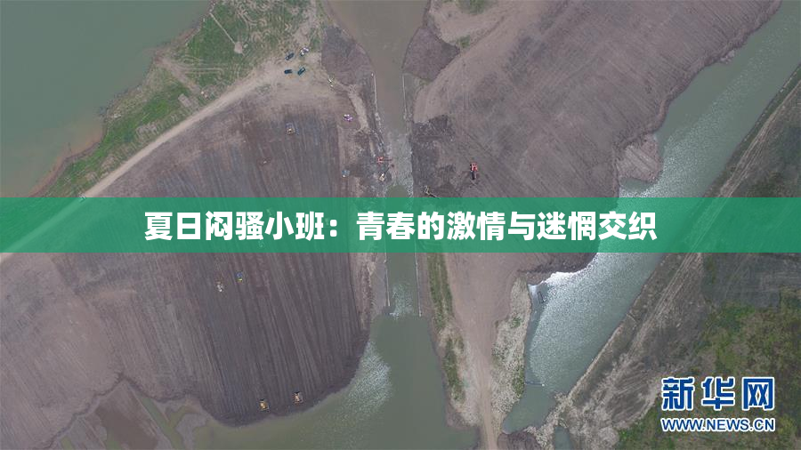 夏日闷骚小班：青春的激情与迷惘交织