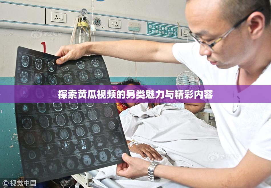 探索黄瓜视频的另类魅力与精彩内容
