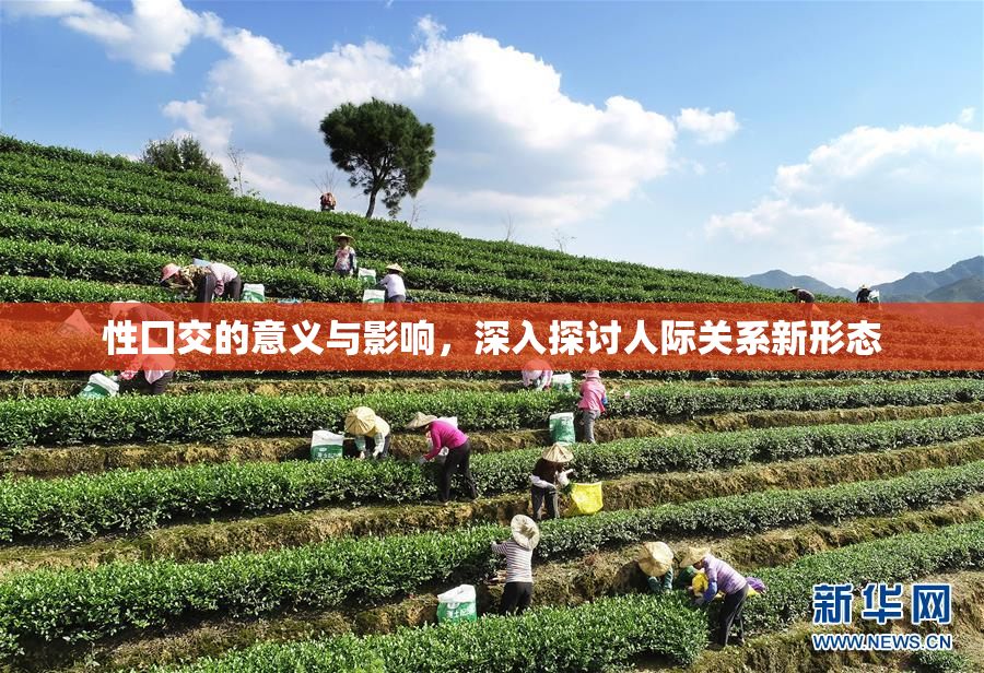 性囗交的意义与影响，深入探讨人际关系新形态