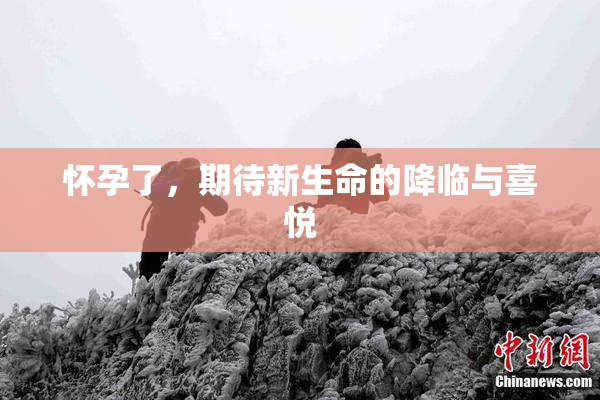 怀孕了，期待新生命的降临与喜悦