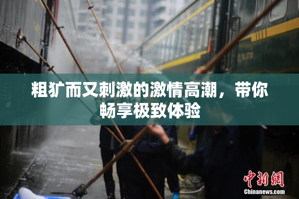 粗犷而又刺激的激情高潮，带你畅享极致体验