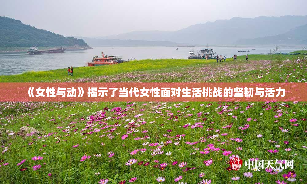 《女性与动》揭示了当代女性面对生活挑战的坚韧与活力