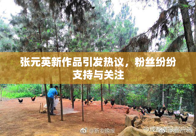 张元英新作品引发热议，粉丝纷纷支持与关注
