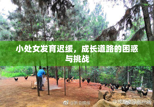 小处女发育迟缓，成长道路的困惑与挑战