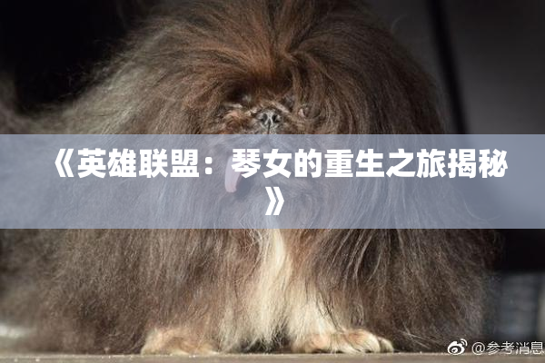 《英雄联盟：琴女的重生之旅揭秘》