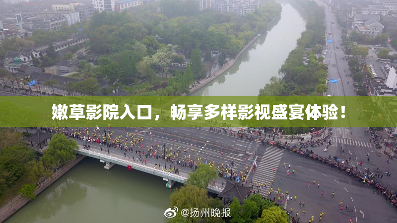 嫩草影院入口，畅享多样影视盛宴体验！