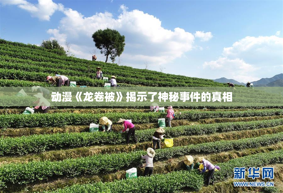 动漫《龙卷被》揭示了神秘事件的真相