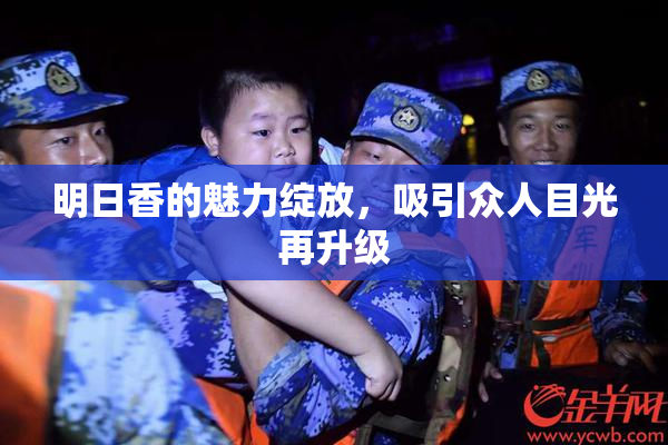明日香的魅力绽放，吸引众人目光再升级