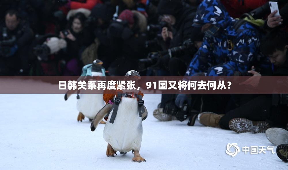 日韩关系再度紧张，91国又将何去何从？
