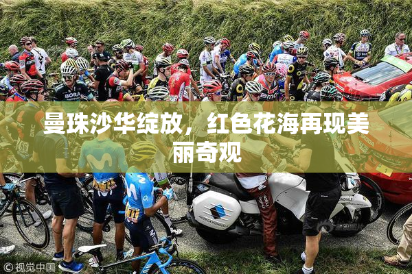 曼珠沙华绽放，红色花海再现美丽奇观