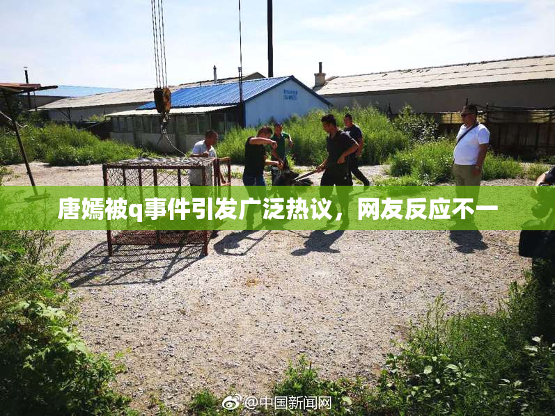 唐嫣被q事件引发广泛热议，网友反应不一