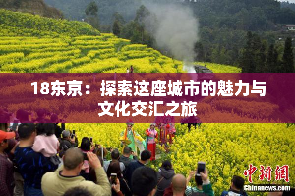 18东京：探索这座城市的魅力与文化交汇之旅