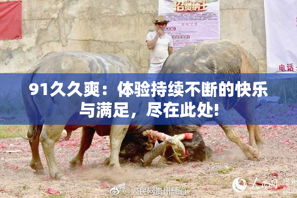91久久爽：体验持续不断的快乐与满足，尽在此处!