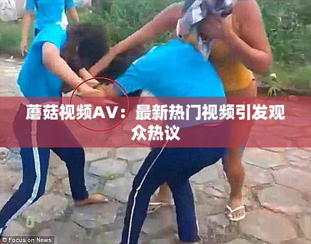 蘑菇视频AV：最新热门视频引发观众热议