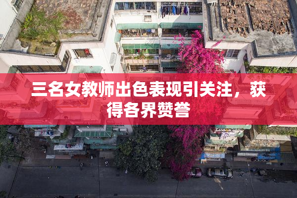 三名女教师出色表现引关注，获得各界赞誉