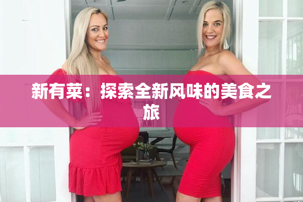 新有菜：探索全新风味的美食之旅