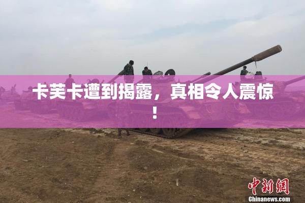 卡芙卡遭到揭露，真相令人震惊！