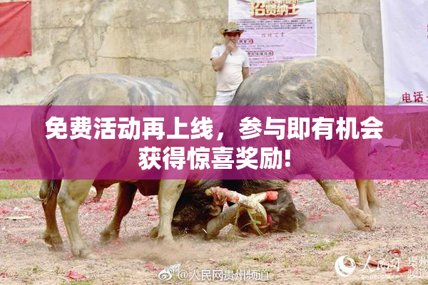 免费活动再上线，参与即有机会获得惊喜奖励!
