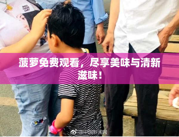 菠萝免费观看，尽享美味与清新滋味！