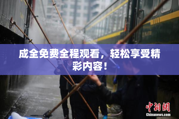 成全免费全程观看，轻松享受精彩内容！