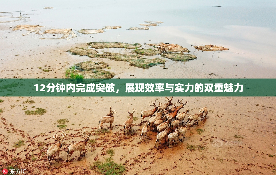 12分钟内完成突破，展现效率与实力的双重魅力
