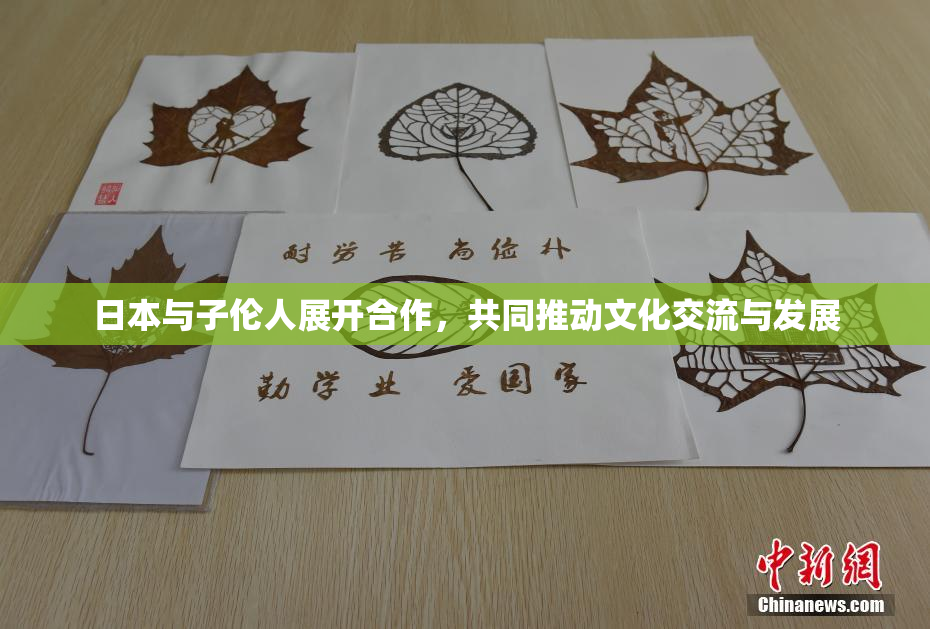 日本与子伦人展开合作，共同推动文化交流与发展