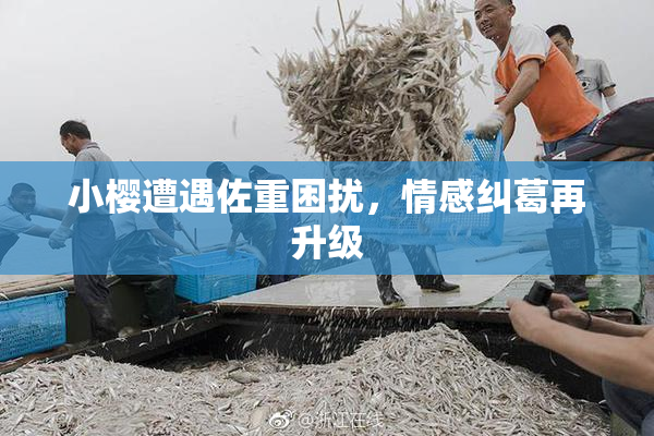 小樱遭遇佐重困扰，情感纠葛再升级
