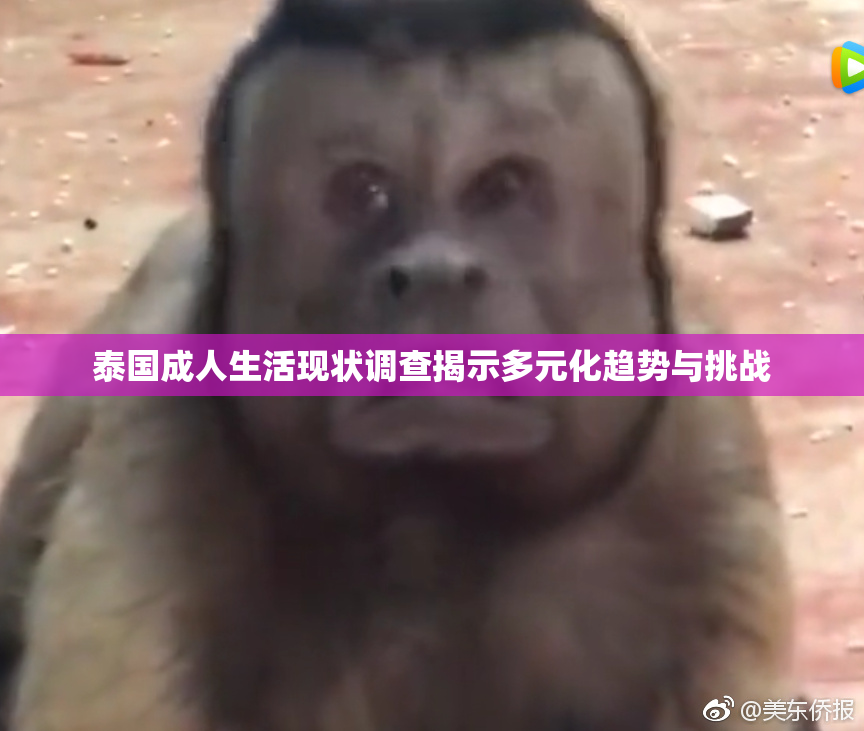 泰国成人生活现状调查揭示多元化趋势与挑战