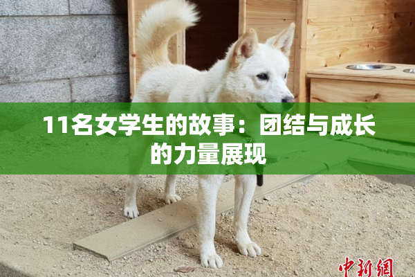 11名女学生的故事：团结与成长的力量展现