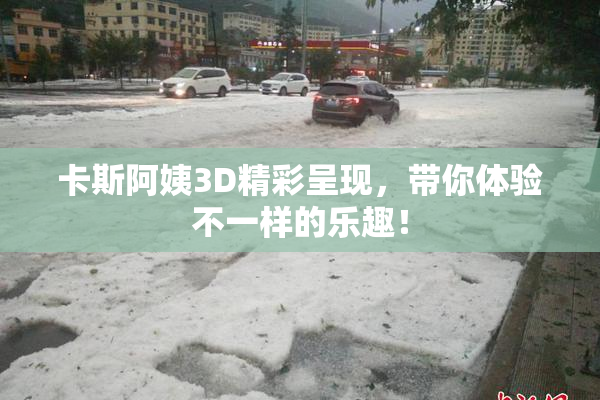 卡斯阿姨3D精彩呈现，带你体验不一样的乐趣！