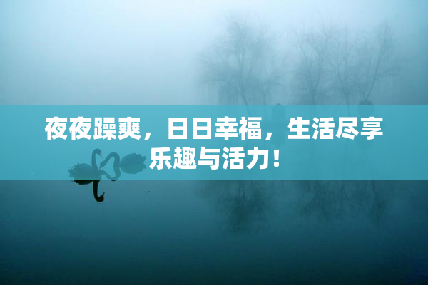 夜夜躁爽，日日幸福，生活尽享乐趣与活力！