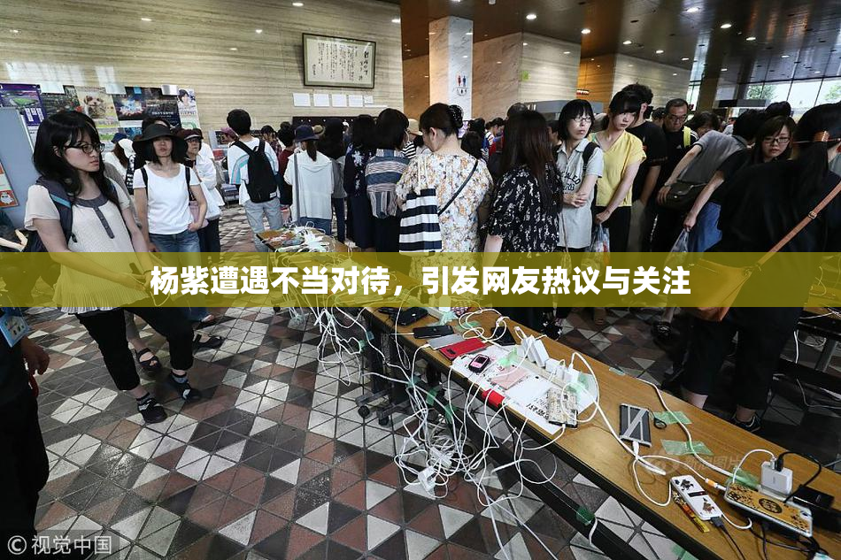 杨紫遭遇不当对待，引发网友热议与关注