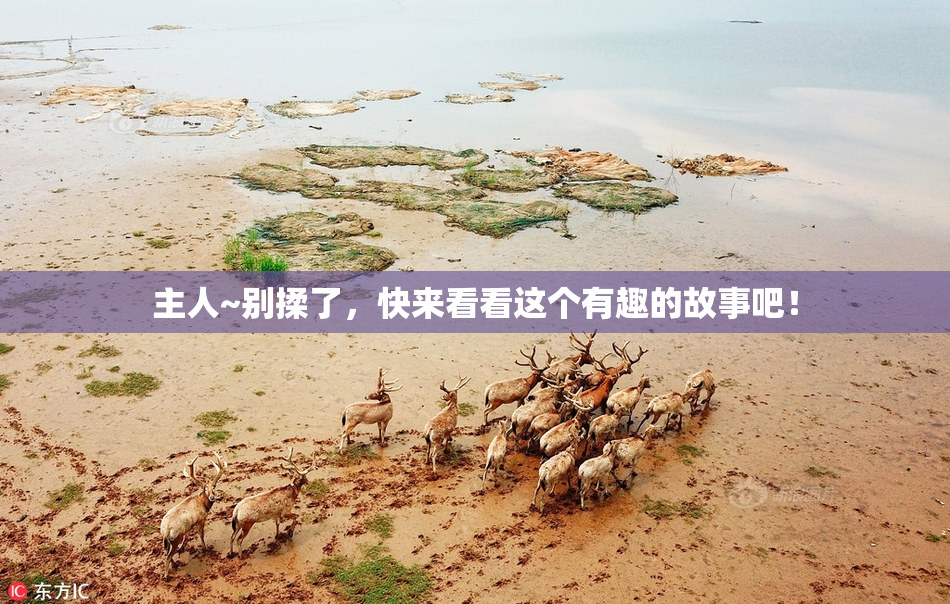 主人~别揉了，快来看看这个有趣的故事吧！