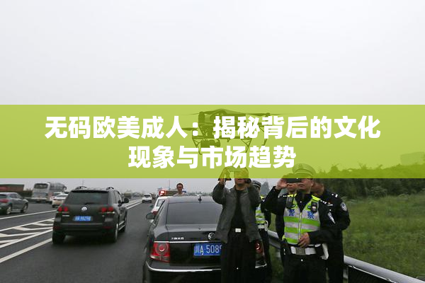 无码欧美成人：揭秘背后的文化现象与市场趋势