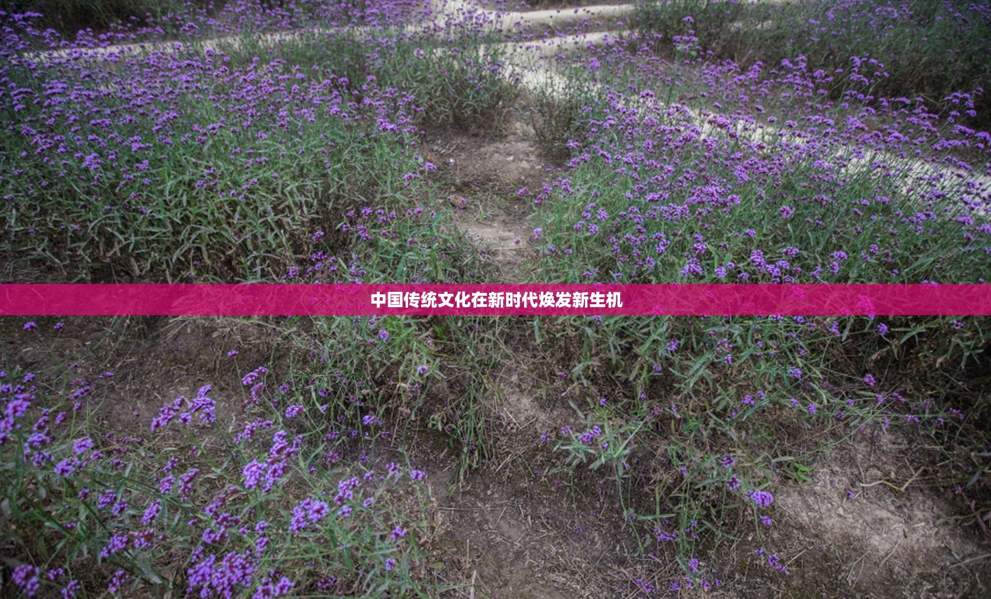 中国传统文化在新时代焕发新生机