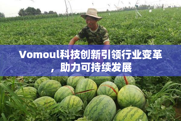 Vomoul科技创新引领行业变革，助力可持续发展