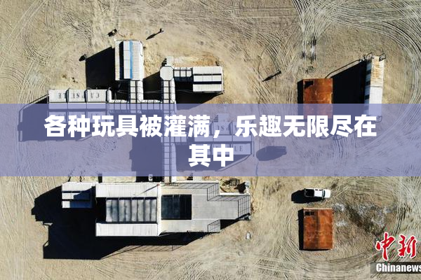 各种玩具被灌满，乐趣无限尽在其中
