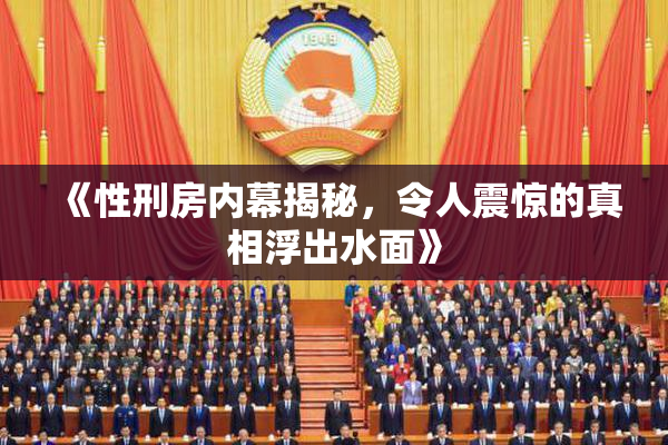 《性刑房内幕揭秘，令人震惊的真相浮出水面》