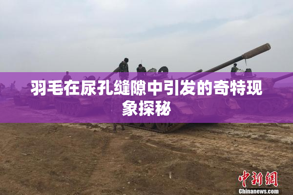 羽毛在尿孔缝隙中引发的奇特现象探秘