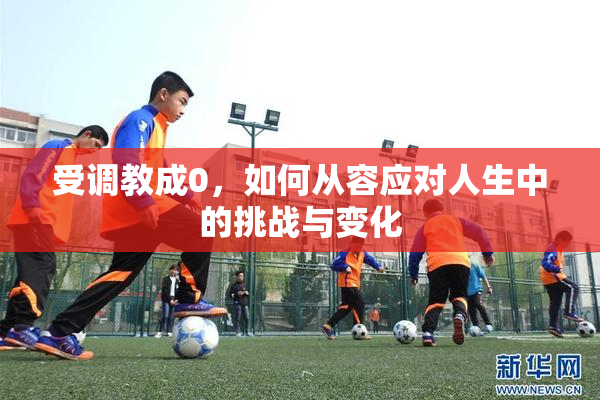 受调教成0，如何从容应对人生中的挑战与变化
