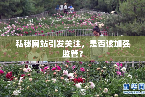 私秘网站引发关注，是否该加强监管？