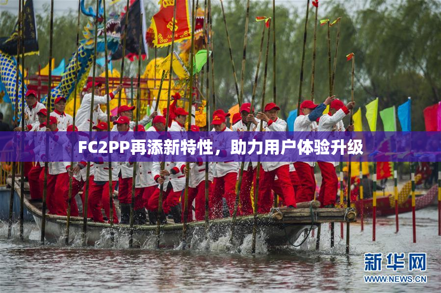 FC2PP再添新特性，助力用户体验升级