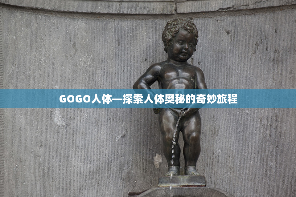 GOGO人体—探索人体奥秘的奇妙旅程