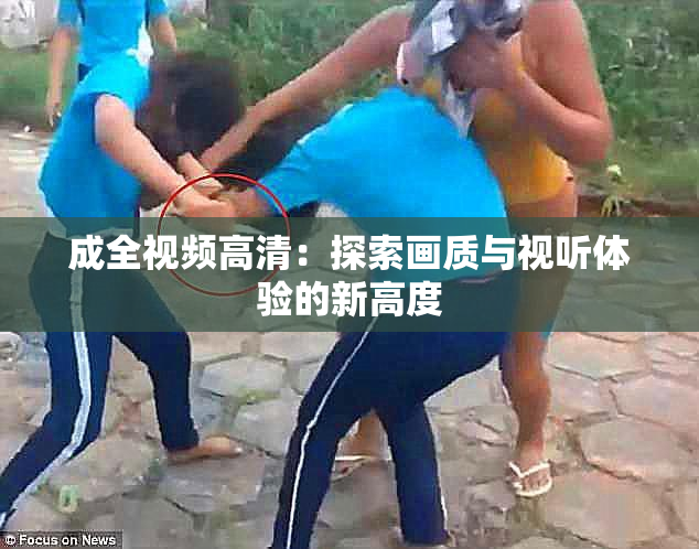 成全视频高清：探索画质与视听体验的新高度
