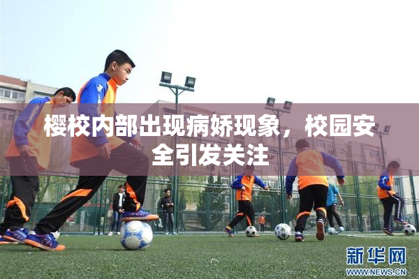 樱校内部出现病娇现象，校园安全引发关注