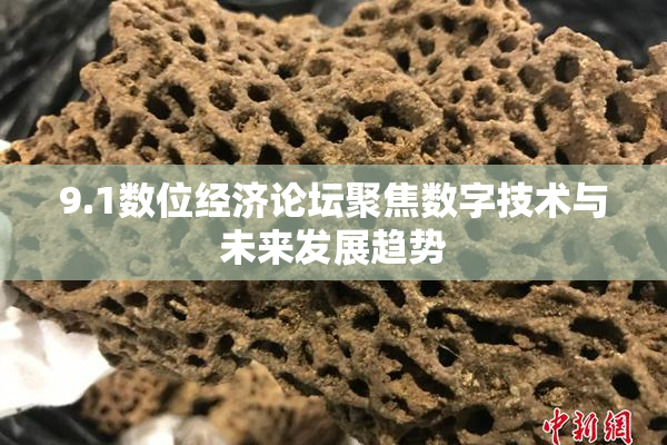 9.1数位经济论坛聚焦数字技术与未来发展趋势
