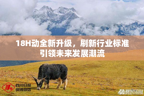 18H动全新升级，刷新行业标准引领未来发展潮流